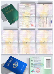 精品AI設(shè)計(jì) 計(jì)算機(jī)軟件著作權(quán)登記證書PSD模板下載